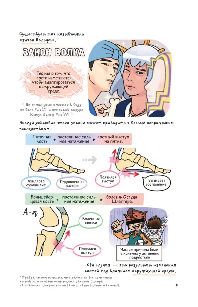 Noch anschaulichere Anatomie